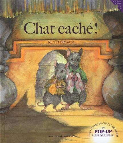 Chat caché ! (Paperback)