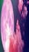 Pink Moon