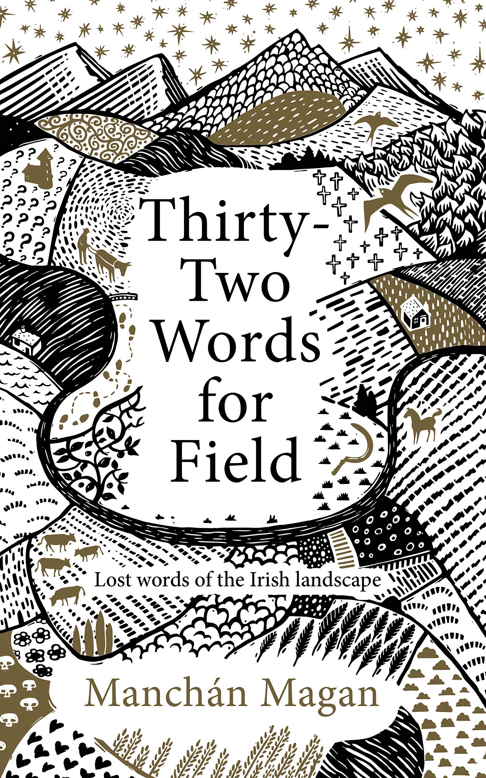 Thirty-Two Words for Field: Lost Words of the Irish Landscape (Kindle Edition)
