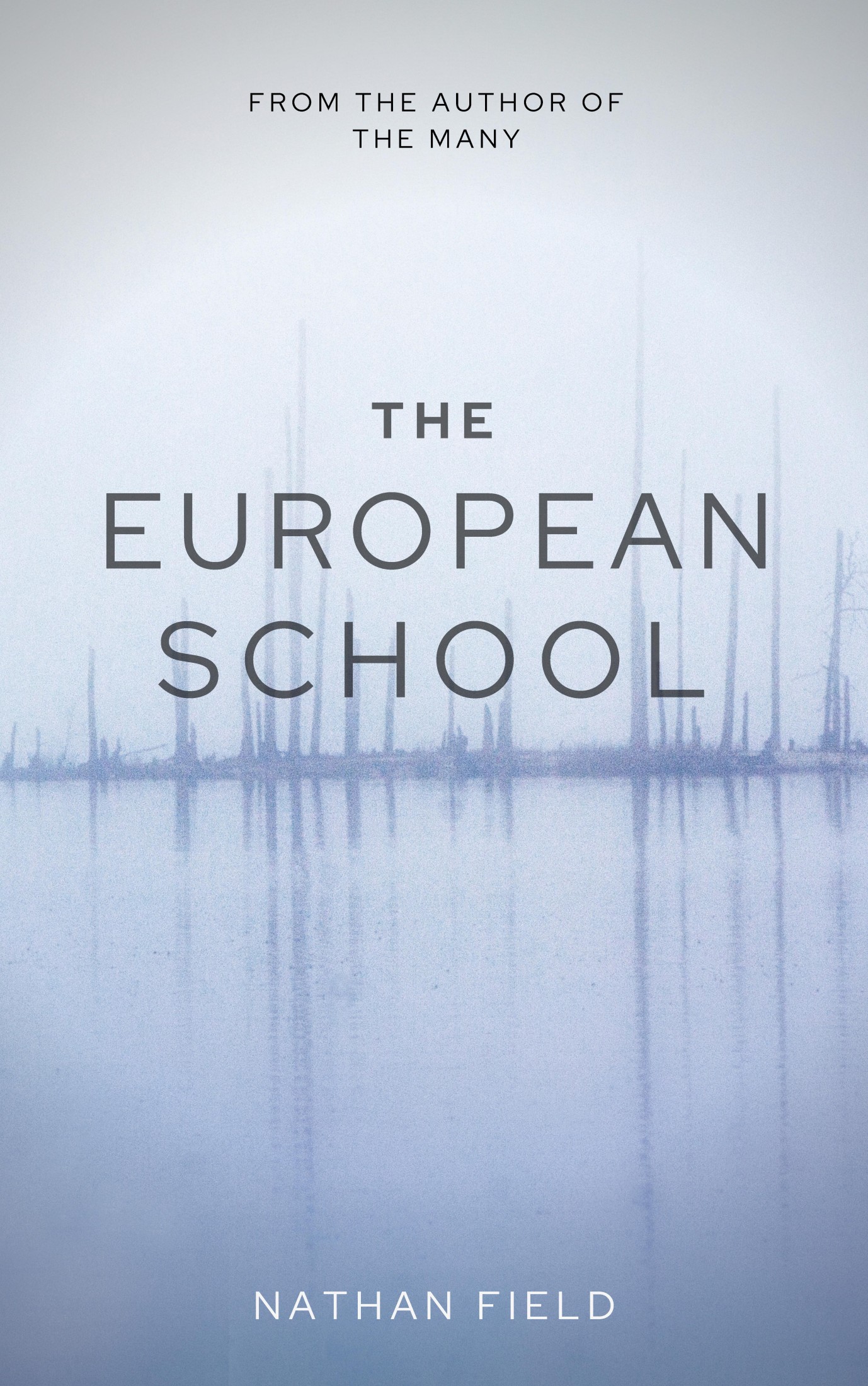 The European School (The Many #3)