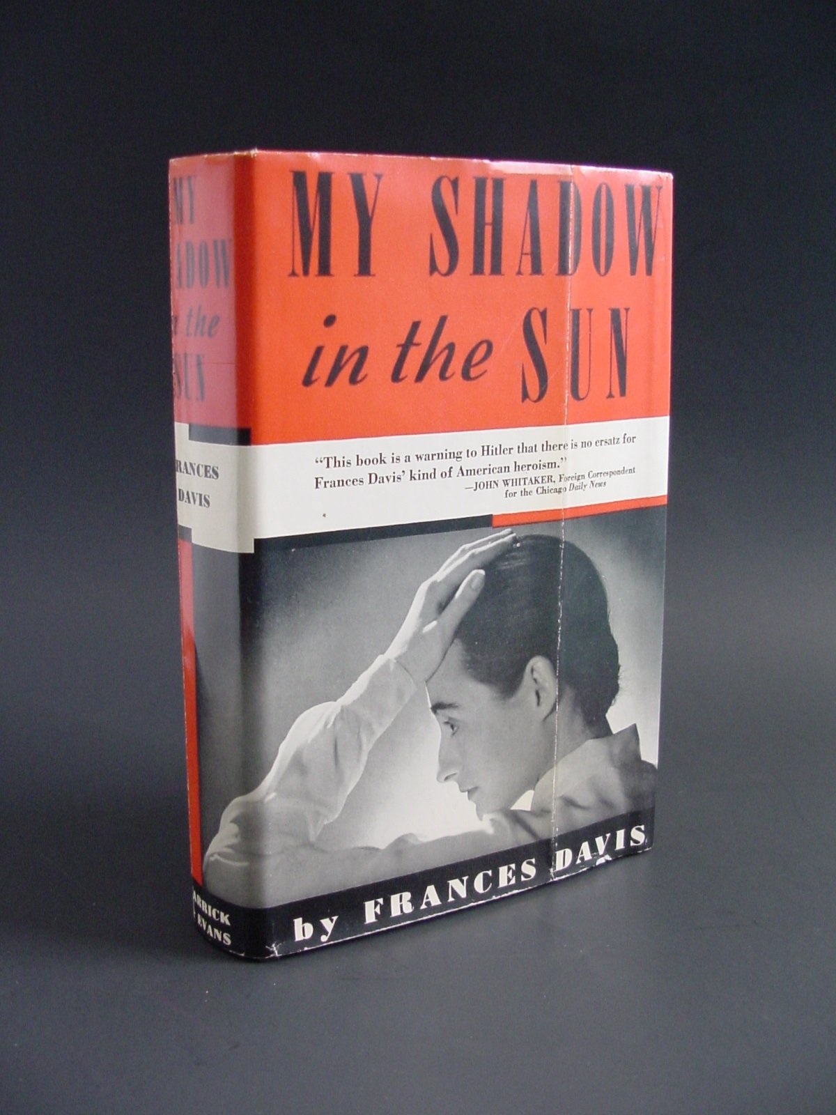 My Shadow In the Sun