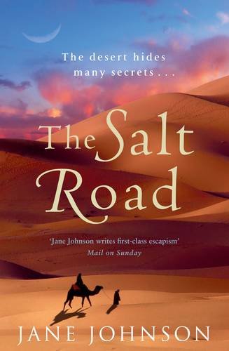 The Salt Road (Paperback)