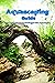 Aquascaping Guide: Guide fo...