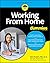 Working From Home For Dummies