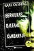 Berniukas baltame kambaryje by Karl Olsberg