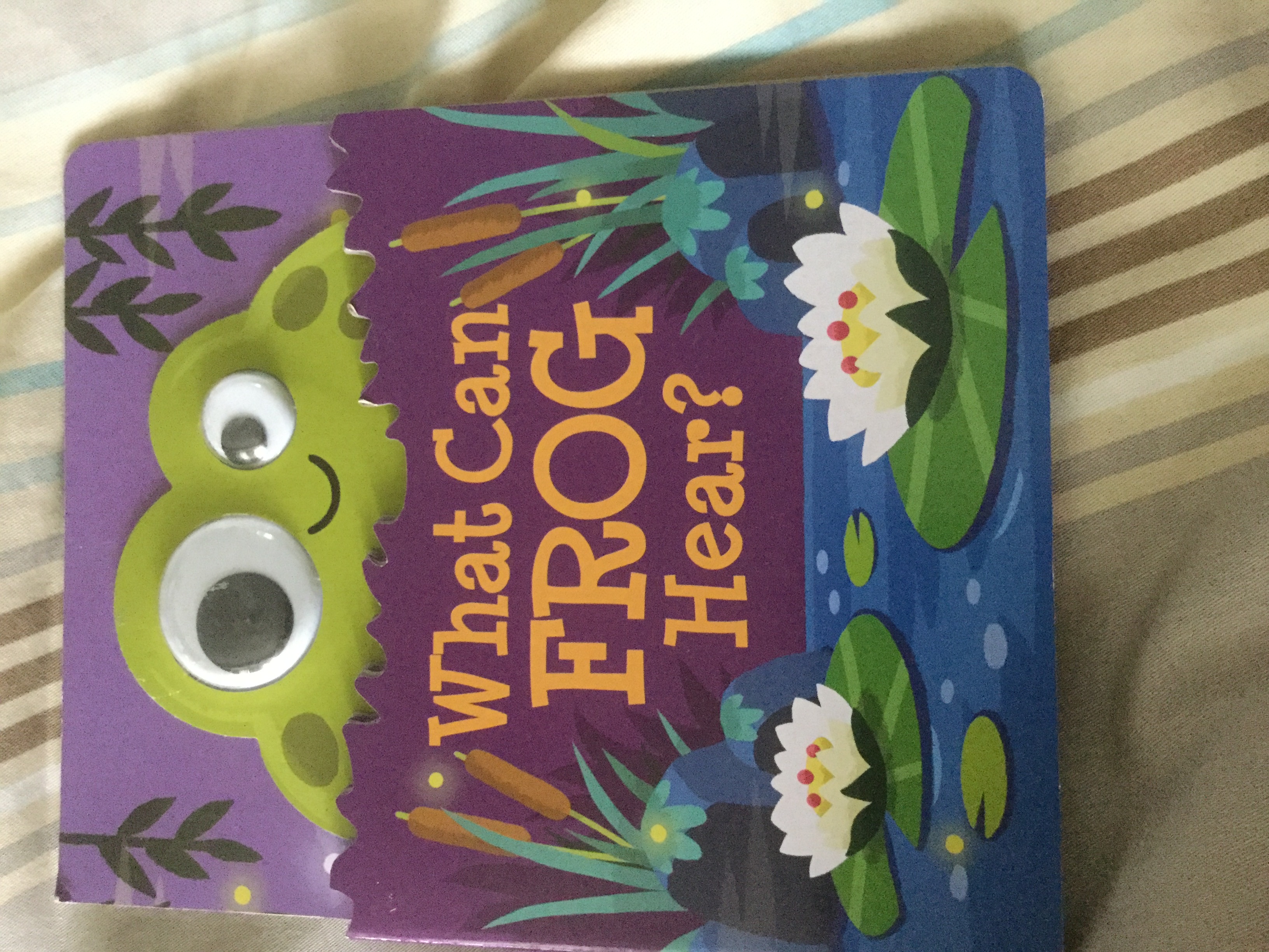 What can a frog hear (Unknown Binding)