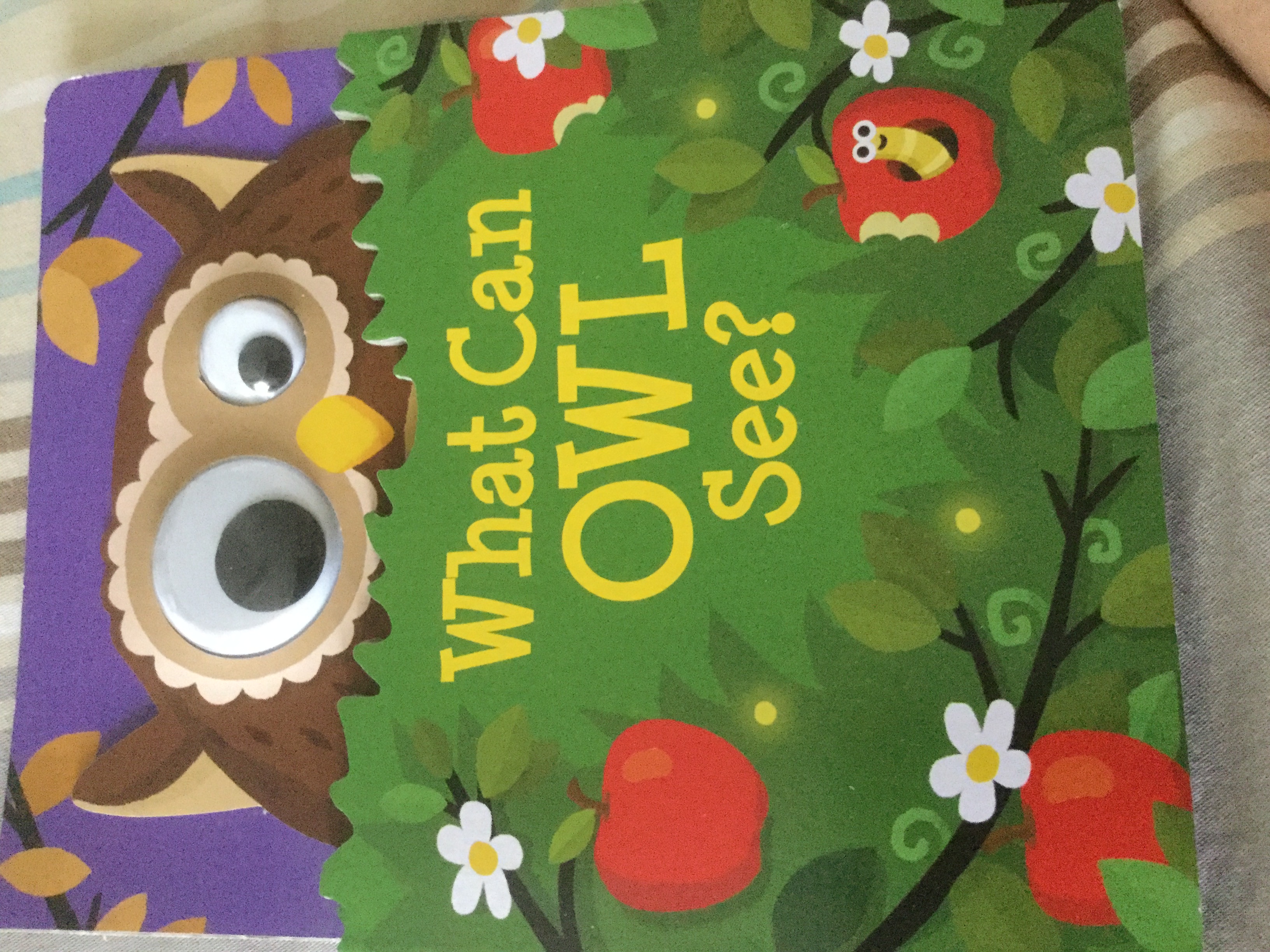 What can owl see (Unknown Binding)