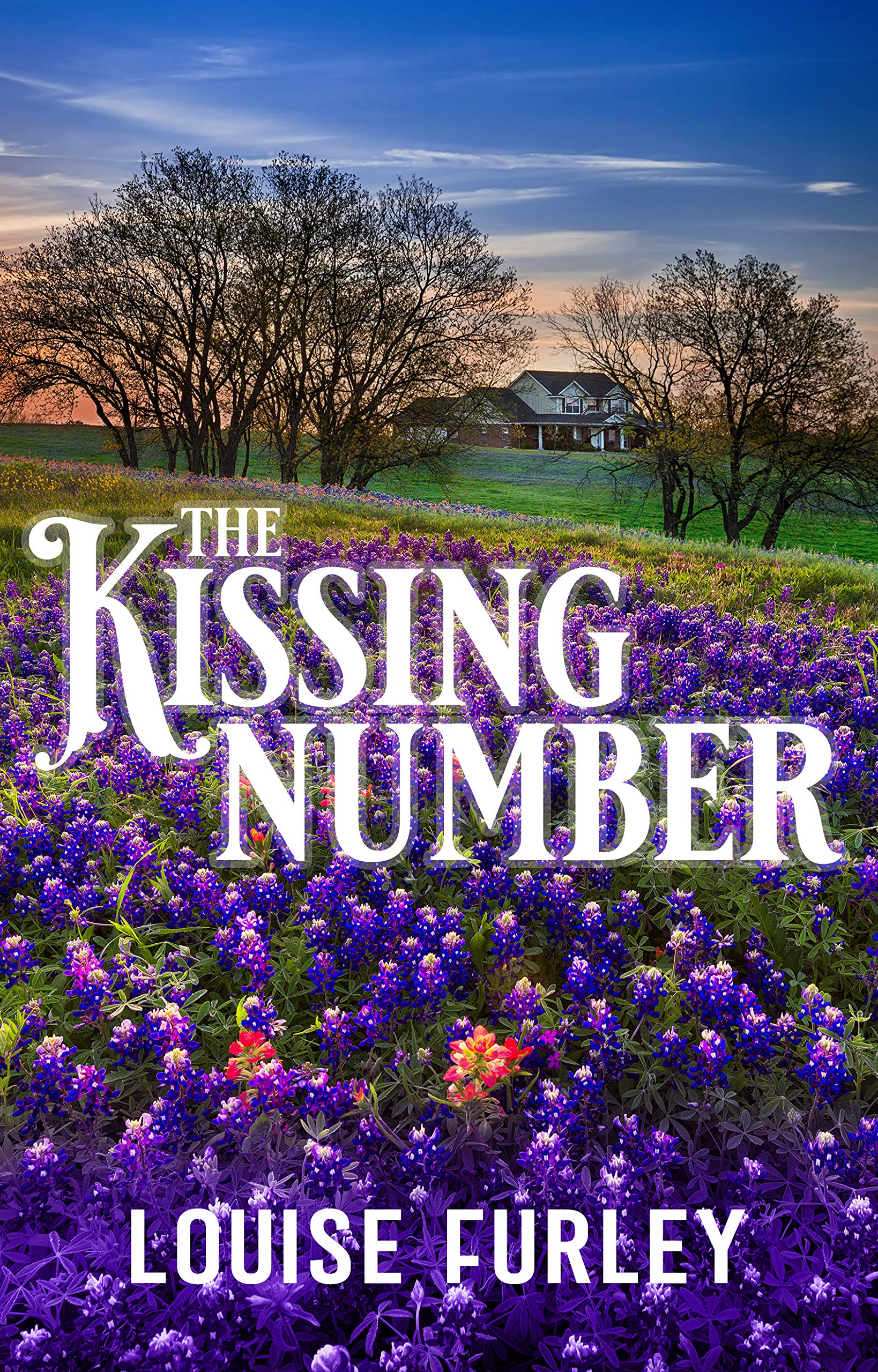 The Kissing Number (Kindle Edition)