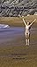 The Truth About Naturism by David Anderson