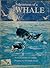 Adventures of a Whale