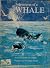 Adventures of a Whale