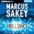 Brilliance (Brilliance Saga, #1)