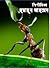 পিপীলিকা