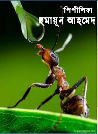 পিপীলিকা