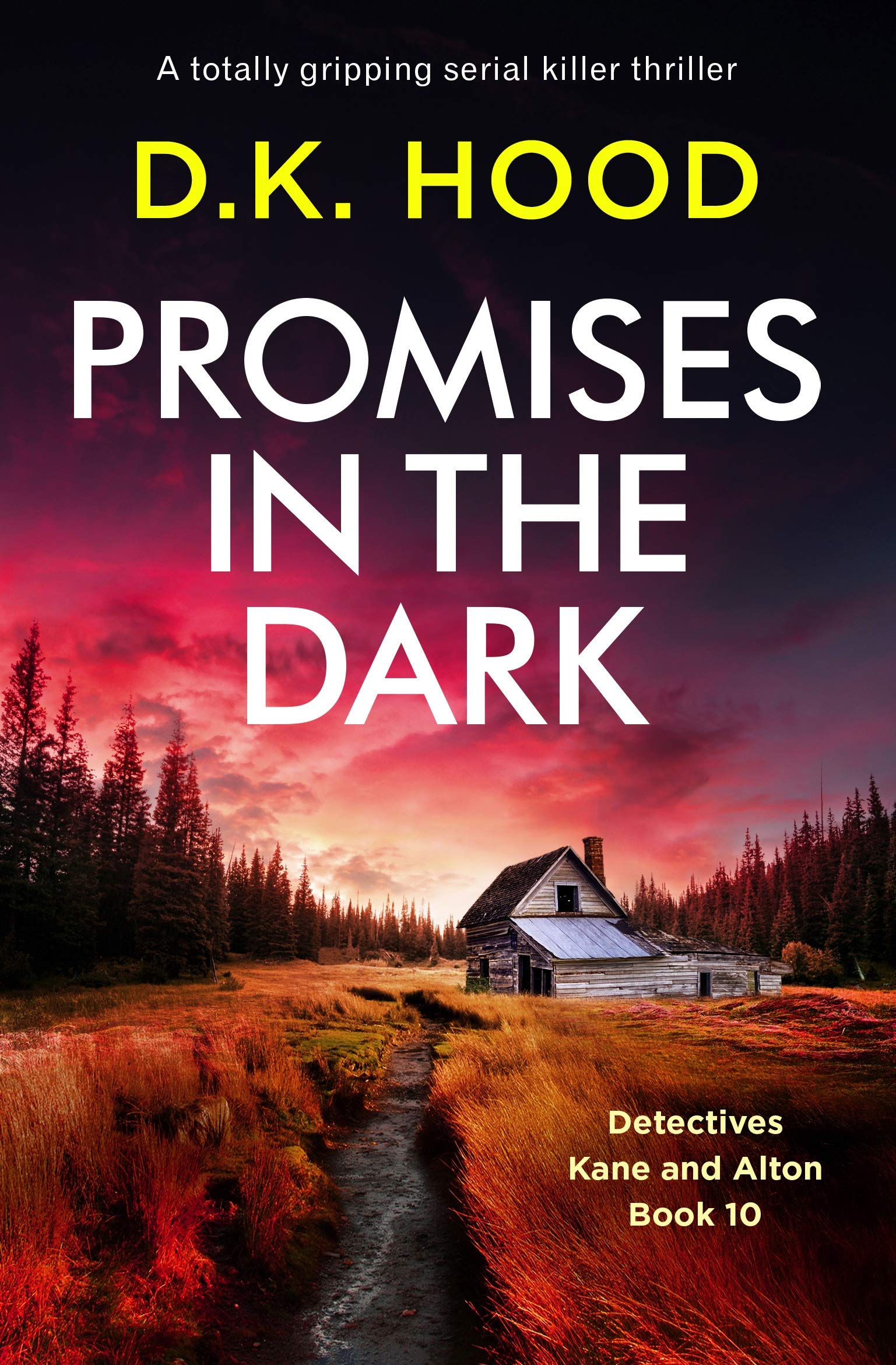 Promises in the Dark (Detectives Kane and Alton, #10)