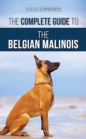 belgian malinois puppy feeding guide