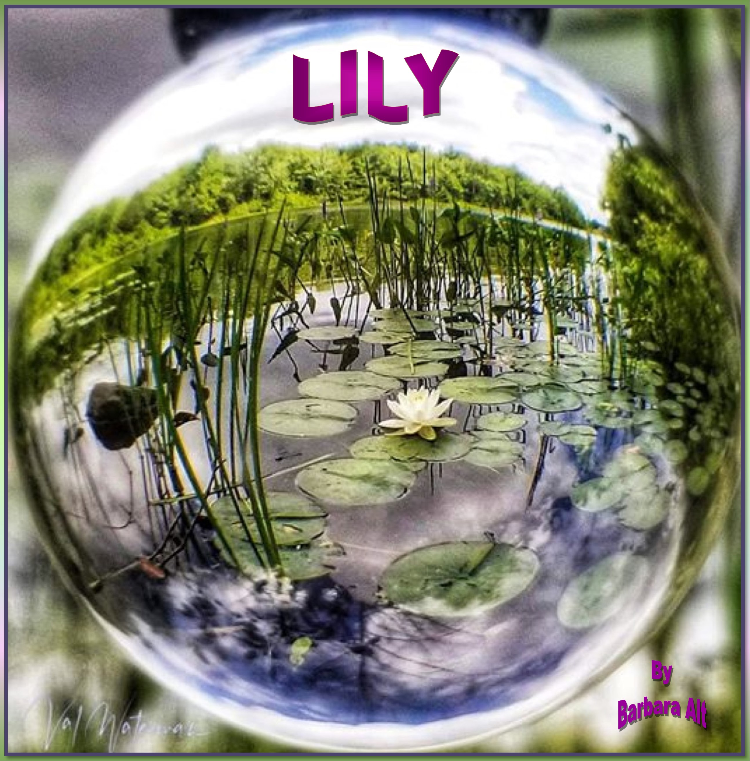LILY (Rose's Adventures, Book 2)