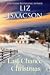 Last Chance Christmas (Last Chance Ranch Romance #6)