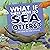 What If There Were No Sea Otters? (Food Chain Reactions)