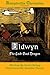 Eldwyn the Laid Back Dragon by Cevin Soling