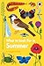 What to Look For in Summer ...