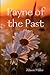 Payne of the Past by Alison Miller