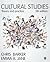 Cultural Studies: Theory and Practice