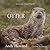 The Secret Life of the Otter by Andy  Howard