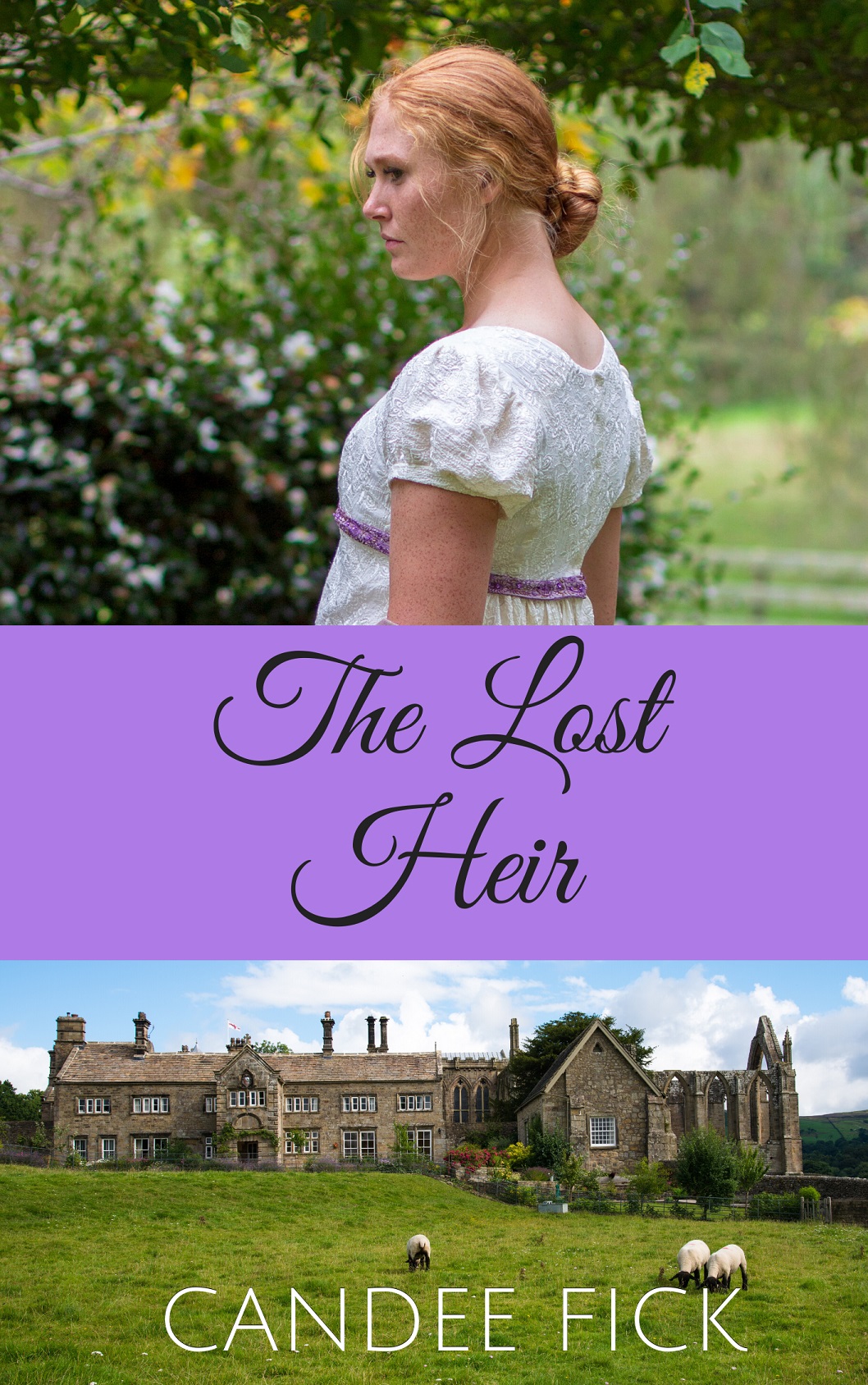 The Lost Heir (Within the Castle Gates Book 3)