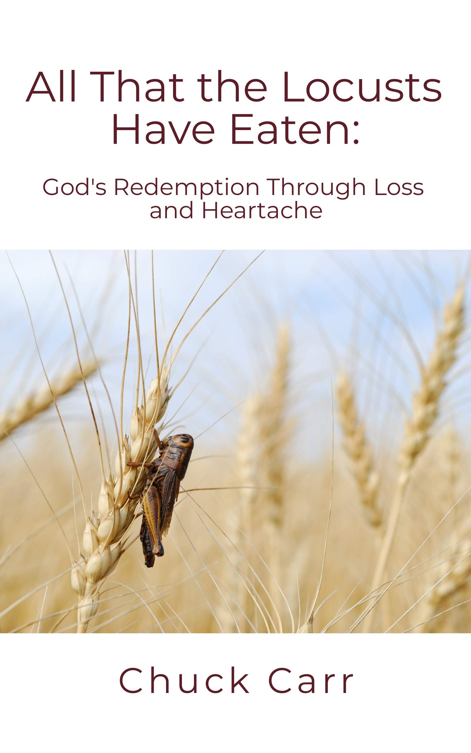 All That The Locusts Have Eaten: God's Redemption Through Loss and Heartache (Kindle Edition)