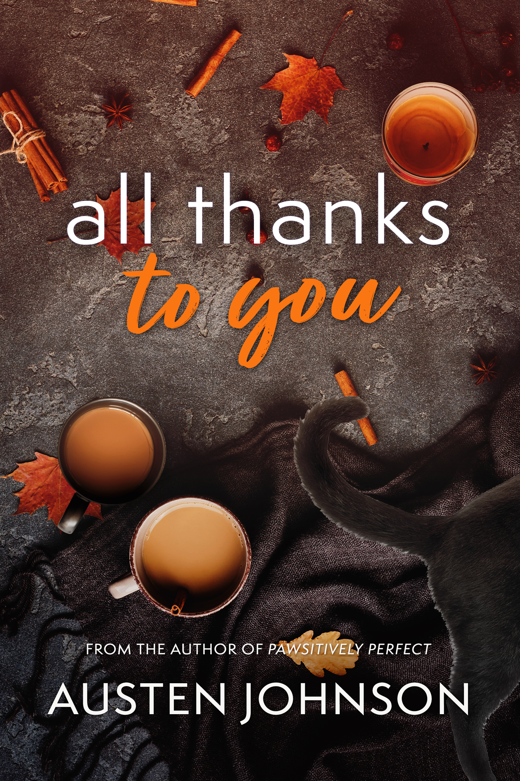 All Thanks to You (Romancing the Holidays #3)