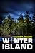 Winter Island by James R Nelson