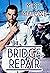 The Bridge Repair