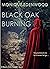 Black Oak Burning (Black Oak, #2)