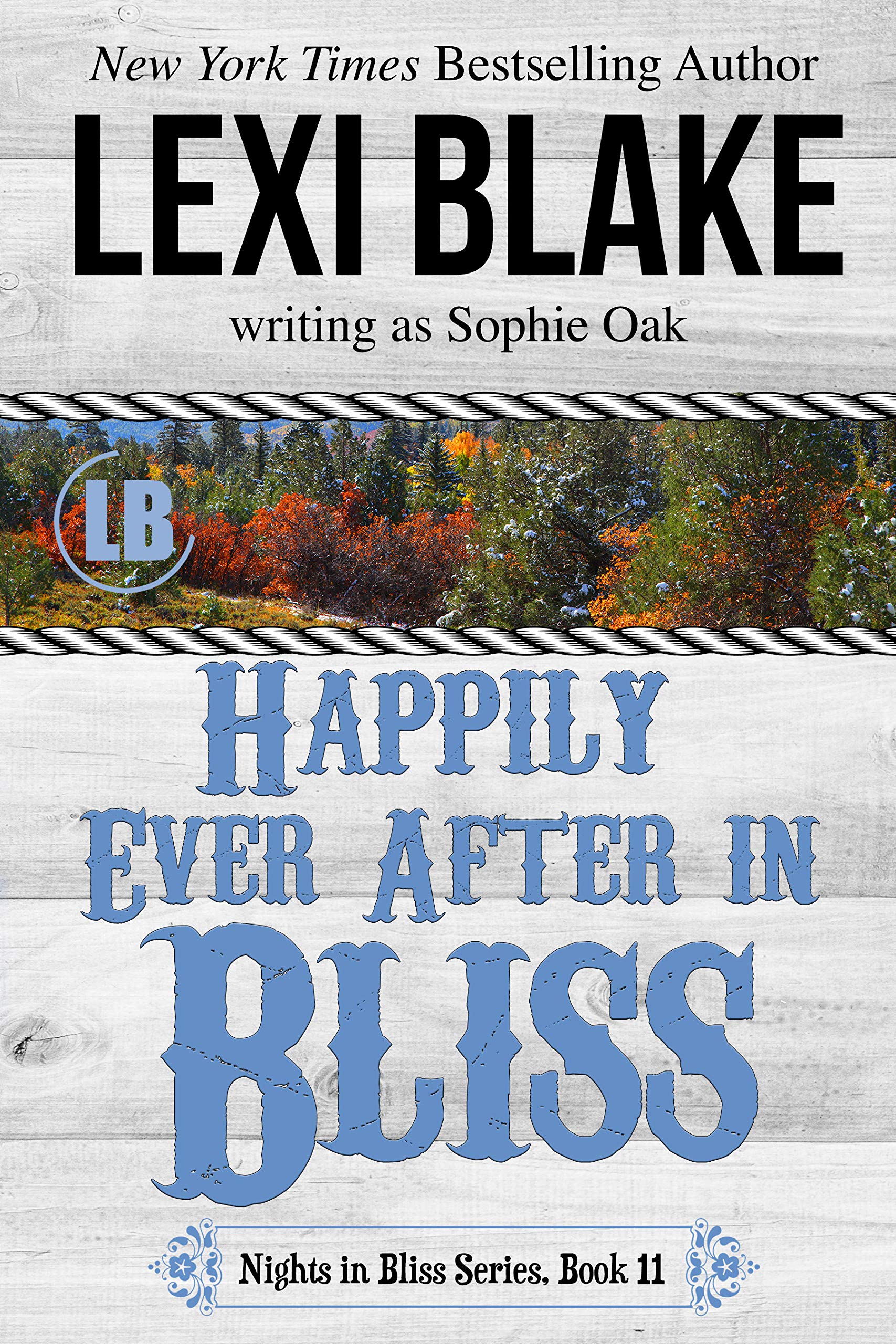 Happily Ever After in Bliss (Nights in Bliss, Colorado #11)