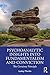 Psychoanalytic Insights int...