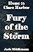 Fury of the Storm