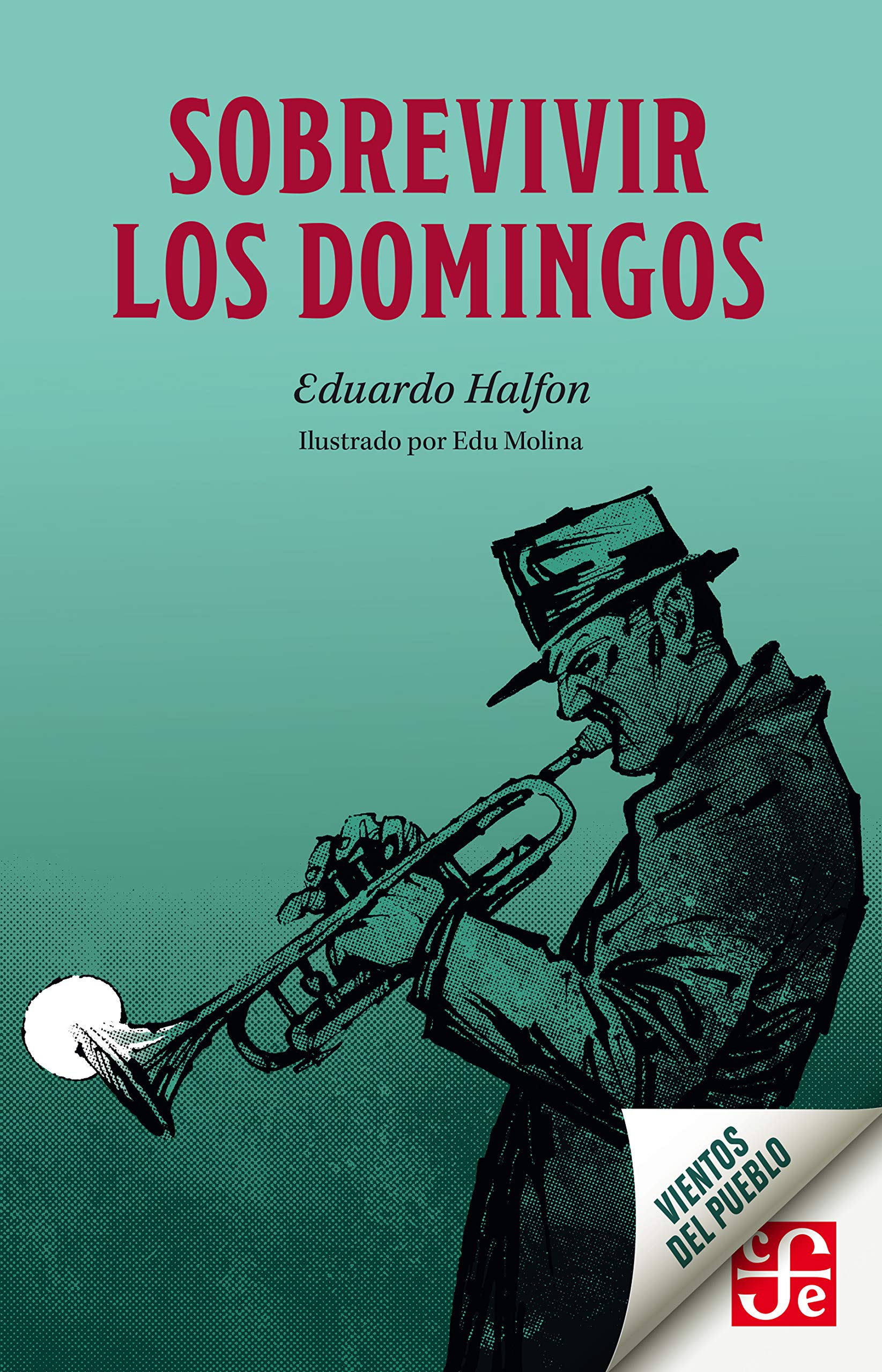 Sobrevivir los domingos (Kindle Edition)