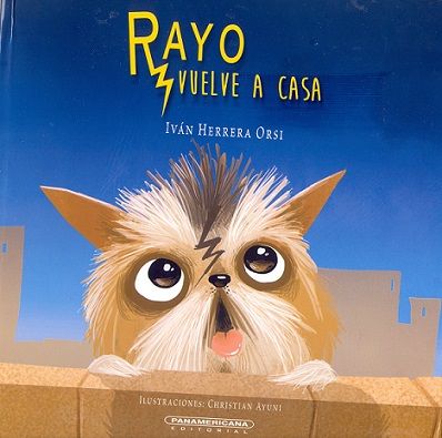 Rayo vuelve a casa