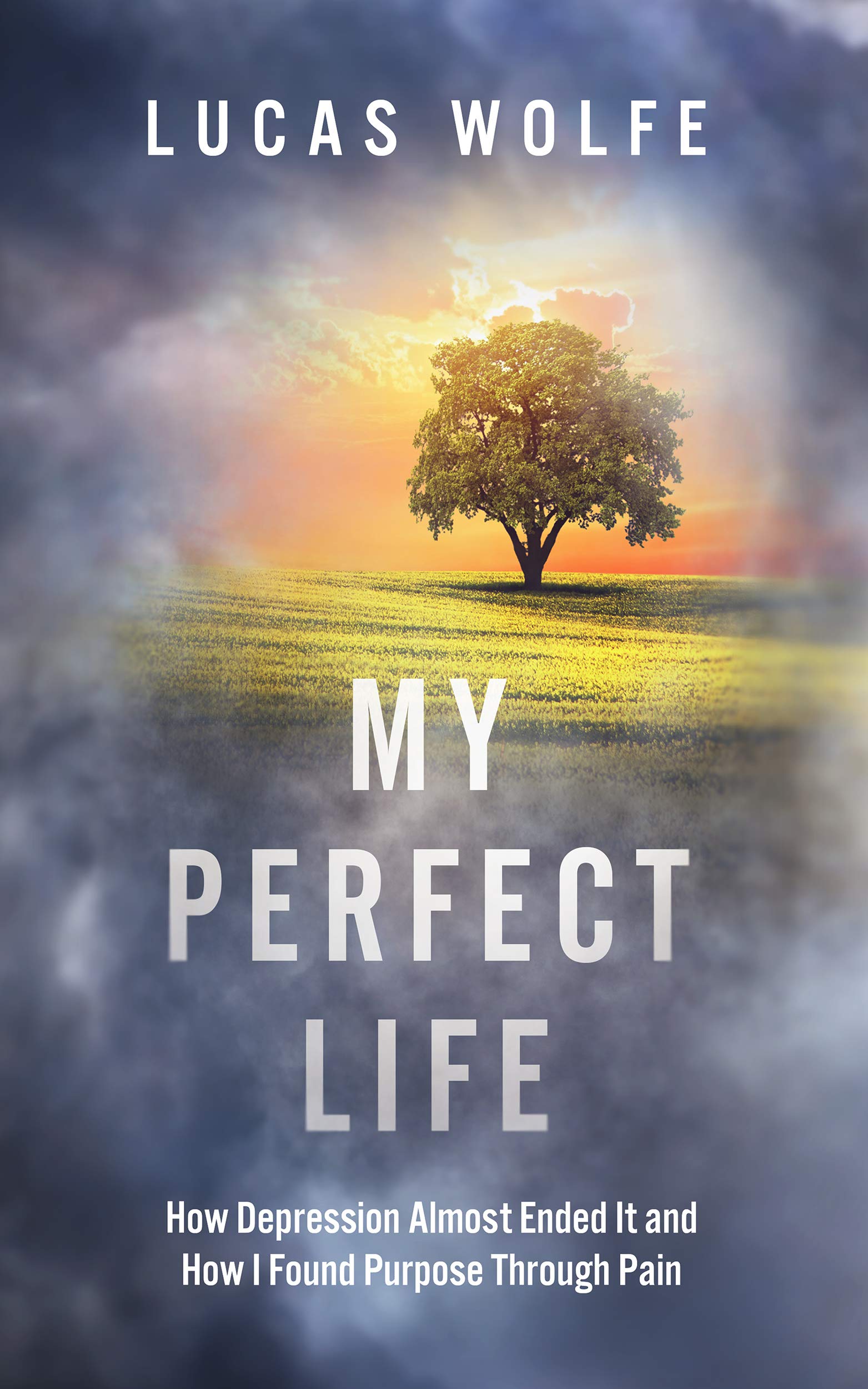 My Perfect Life: How Depression Almost Ended It and How I Found Purpose Through Pain (Kindle Edition)