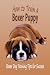 How to Train a Boxer Puppy by Jaime Alarcón