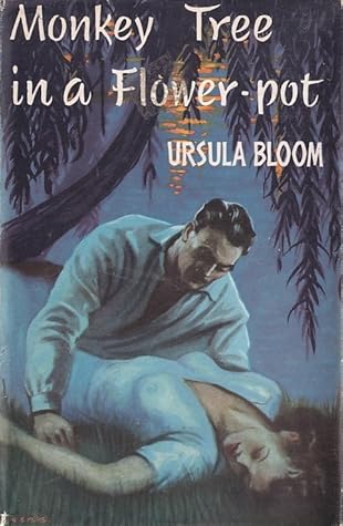 Monkey Tree in a Flower Pot