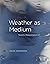 Weather as Medium: Toward a Meteorological Art (Leonardo)
