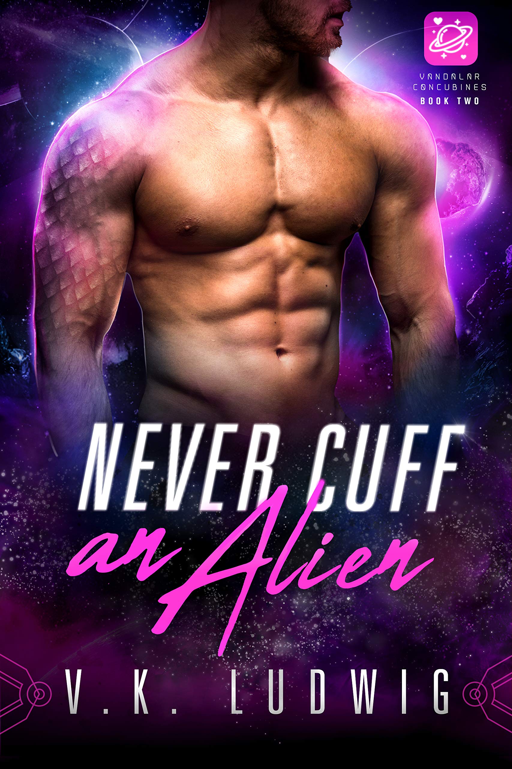 Never Cuff an Alien (Vandalar Concubines, #2)