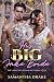 His Big, Fake Bride by Samantha Drake