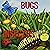 Bugs / Insectos