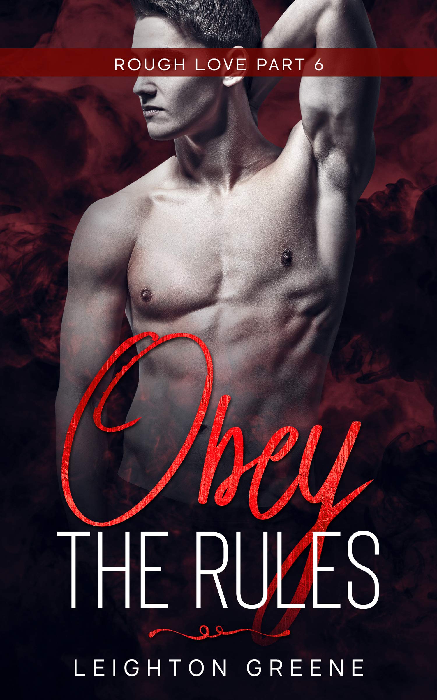 Obey the Rules (Rough Love #6)