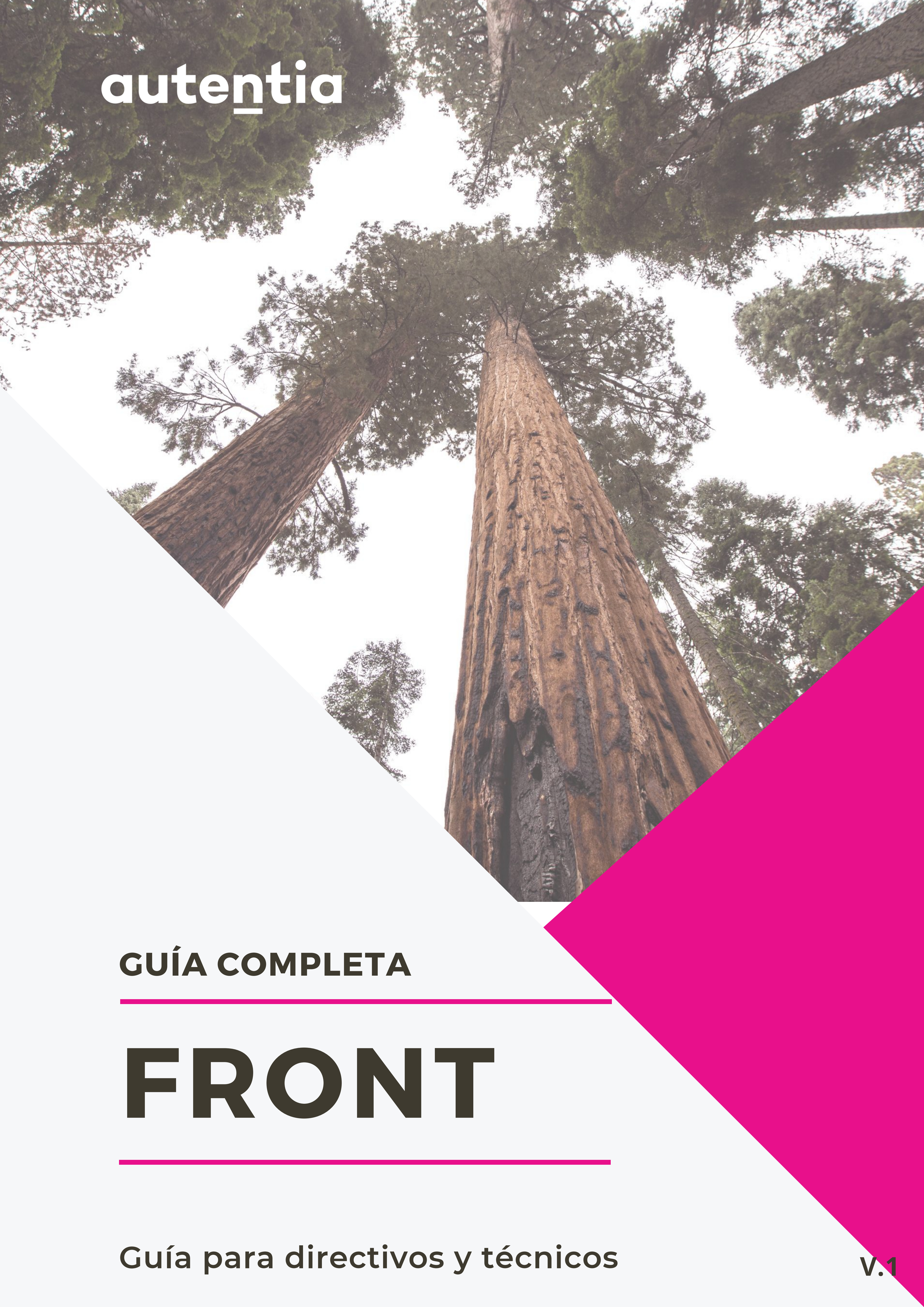 Front: La guía completa. Guía para directivos y técnicos