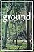 Ground fiction: Vol. 1, Iss...