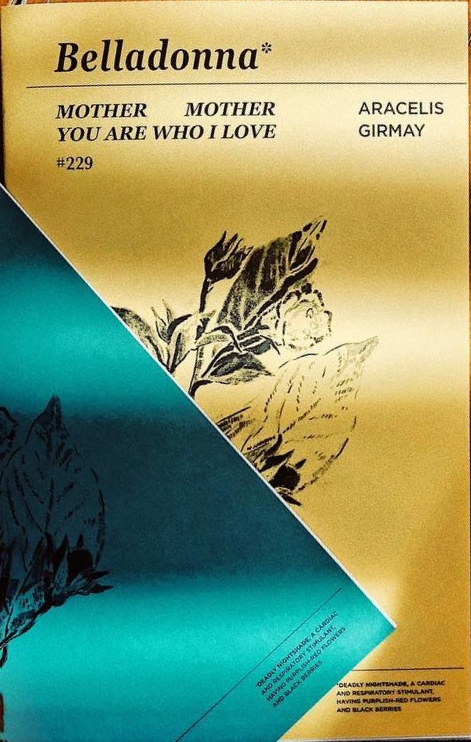 Mother Mother You Are Who I Love (Chapbook)